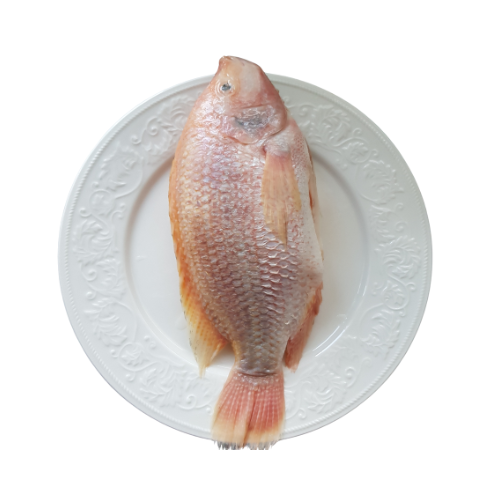 Red Tilapia size 700-900g 4kg