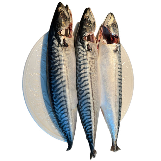 Makrel 1kg