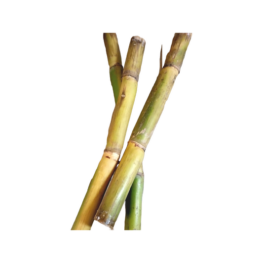 Sugar cane 1KG