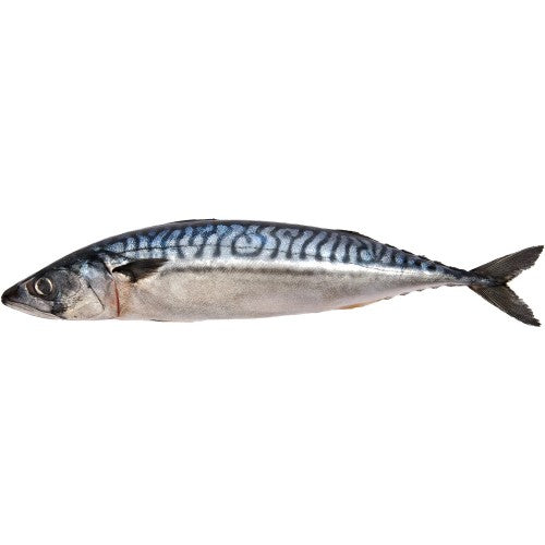 Makreel King 1kg