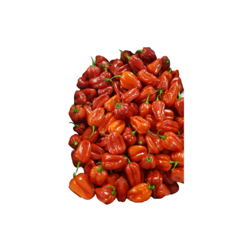 Habanero freshfrozen Chili 1kg