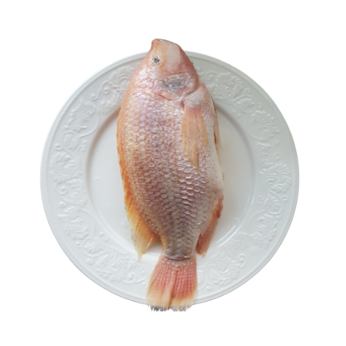 Red Tilapia 6kg