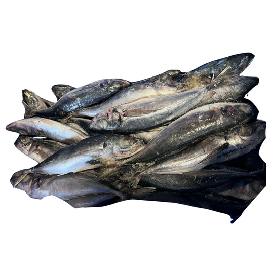 Thomson/Horsemakrel 10kg